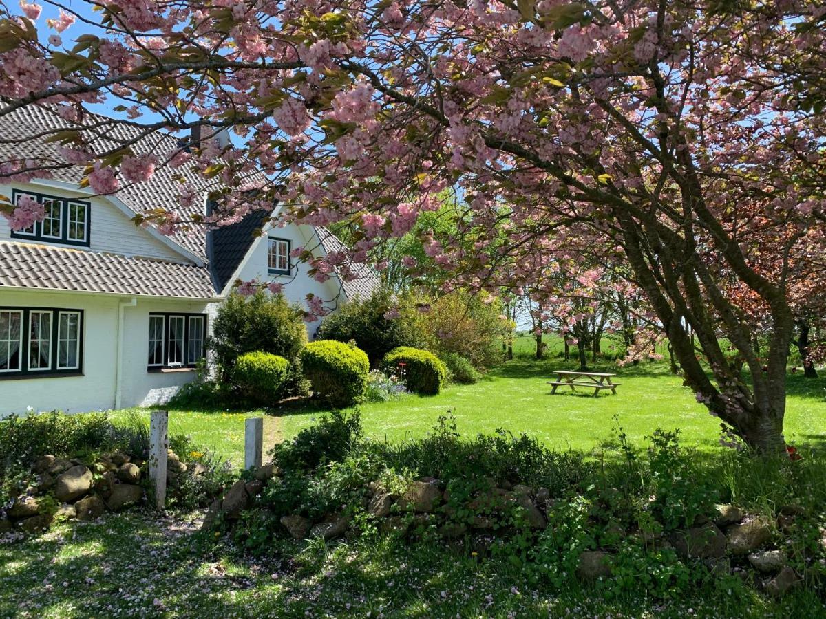 Landhaus Haack Tumlauer Koog Buitenkant foto
