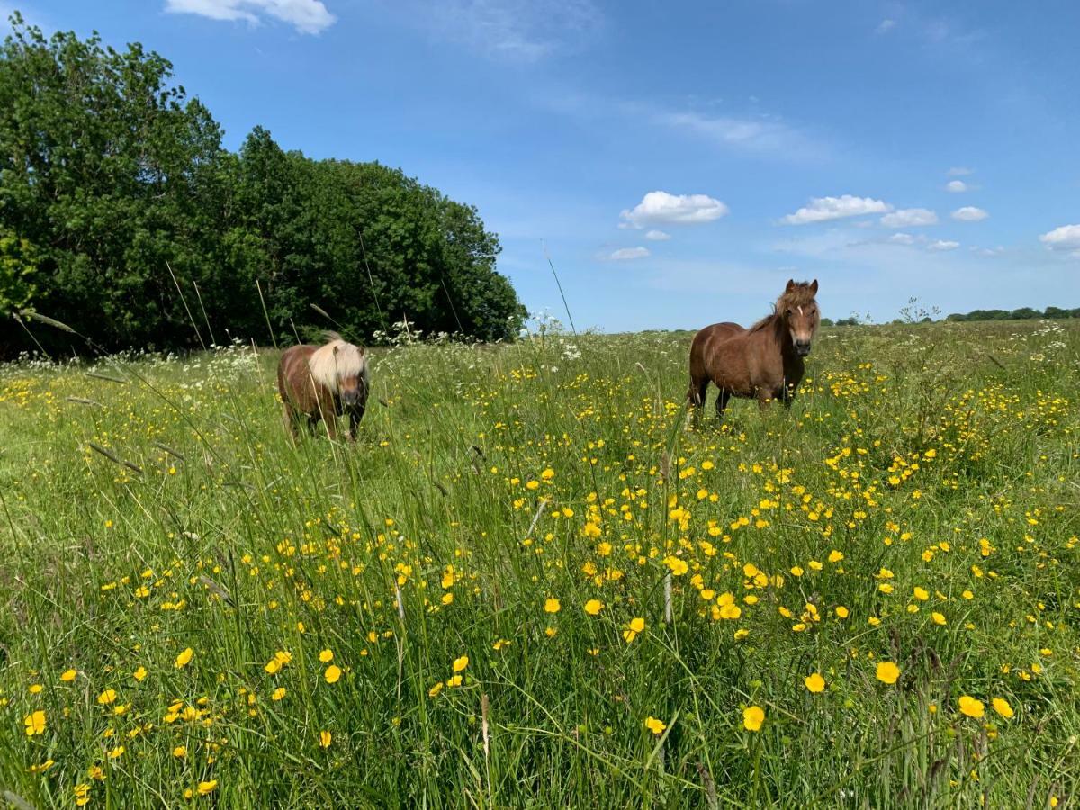 Landhaus Haack Tumlauer Koog Buitenkant foto